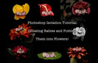 Photoshop Tutorial Babies in Flowers + Images WOW  
