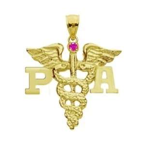 NursingPin   Physician Assistant PA Charm with Ruby in 14K 