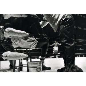 Ali vs. Terrell, The Astrodome, Houston   1967 