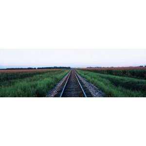  Railroad Tracks Stelle Il, USA by Panoramic Images, 60x20 