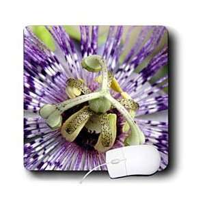 Taiche Photography   Blossom Passion Flower   Mouse Pads 