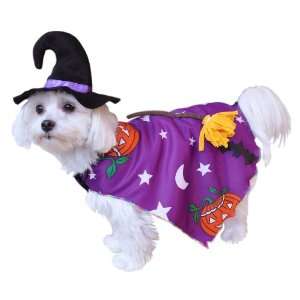  Anit Accessories Pumpkin Witch Dog Costume, 8 Inch