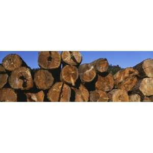  Stack of Logs, Eureka, Humboldt County, California, USA 
