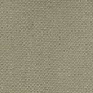 56 Wide Brushed Canvas Sage Green Fabric By The Yard 