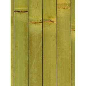  Phillip Jeffries PJ 4101 Bamboo Forest Panel   Green 