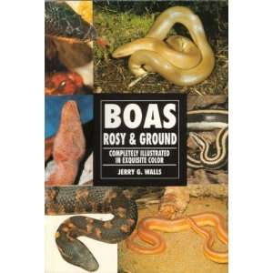  Rosy and Ground Boas [Paperback] Jerry Walls Books