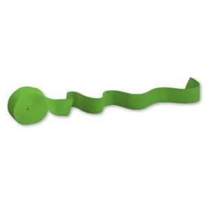  Citrus Green Party Streamers   81 Feet Health & Personal 