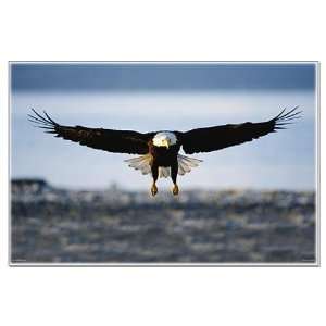  Final Approach Eagle Military Large Poster by  