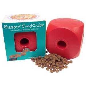  Buster Food Cube Large Size (Colors May Vary) Pet 