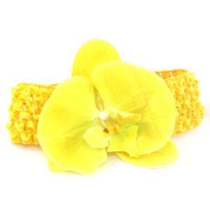  Baby/girls Orchid Headband (Yellow) Beauty