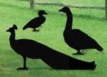 NEW** Lawn Art Yard Shadow/Silhouette   Wood Duck  