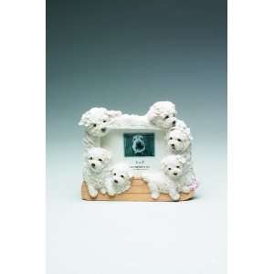  Maltese (Puppycut) Dog 4 x 6 Photo Frame