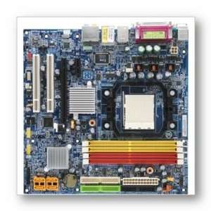   AMD Athlon 64 FX, 64 X2 Dual Core, 64, Sempron (Socket AM2