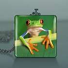 Green Tree Frog Glass Tile Necklace Pendant 146