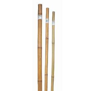  Pole Bamboo Super   5 Foot x 1 Patio, Lawn & Garden