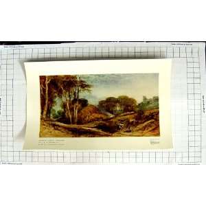  Beeston Castle Cheshire Trees Country Turner Colour
