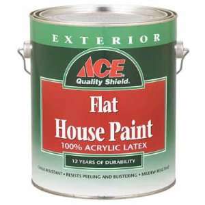  Quality Shield Exterior Flat Latex House Paint Tint Base 
