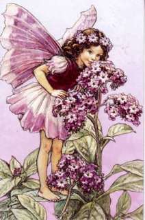 Cicely Mary Barker Flower Fairies Greeting Cards Fragrance of Spring