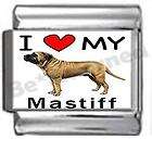 Tibetan Mastiff Dog Pet Ladies Round Italian Charm Wrist Watch Girls 