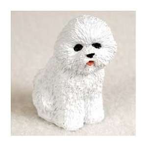  Bichon Frise