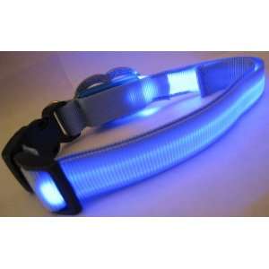  Blue Nylon Webbing Dog Collar with Blue Fiber Optical Led 