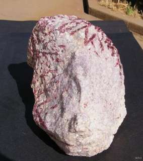 HUGE 16 LB TOURMALINE IN LEPIDOLITE   CALIFORNIA 12639  