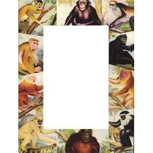  Chimps & Monkeys by Blankety Blank   4x6