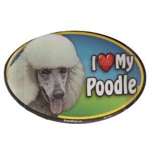  Dog Breed Image Magnet Oval Poodle White