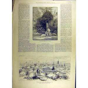    1884 Great Orchid St Albans War Soudan Tombs El Teb