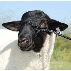  Poly Rope Sheep Halter   Black