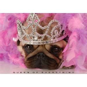  Fabulous Pug Note Cards