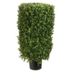  30 Rectangular Boxwood Topiary