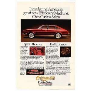    1978 Oldsmobile Cutlass Salon Print Ad (5575)