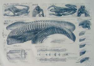 ALIEN III Blueprint Lithograph signed/numbered H.R. Giger  