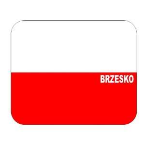  Poland, Brzesko Mouse Pad 