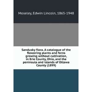   ) Edwin Lincoln, 1865 1948 Moseley 9781275024311  Books