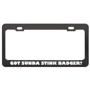 Got Sunda Stink Badger? Animals Pets Black Metal License Plate Frame 