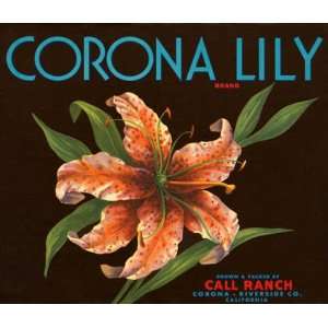  CORONA LILY CALL RANCH CALIFORNIA USA POSTER ON CANVAS 