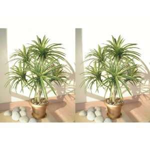  2 x 3ft Yucca Palms, Artificial Trees