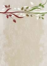 BACKDROPS vol.6 WEDDING   Scenic Backgrounds   