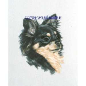  Chihuahua   Portrait by Cindy Farmer, Longhair