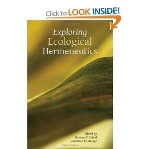   Hermeneutics (Symposium) [Paperback] Norman C. Habel Books