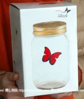   Gift Realistic Electronic Peach Butterfly In a Jar Glass Bottle  