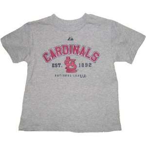    Kids St. Louis Cardinals Ash Base Stealer Tshirt