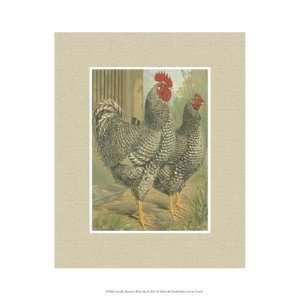  Cassells Roosters with Mat II   Poster by Cassell (10x13 