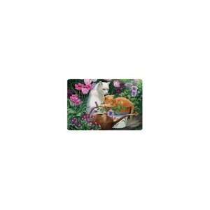   and Juliette Tabby and White Cats Kittens Pet Placemat Feeding MAT