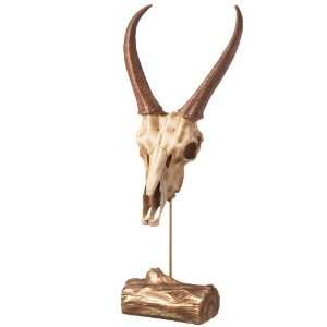  Midwest CBK Antelope Horn Table Decor