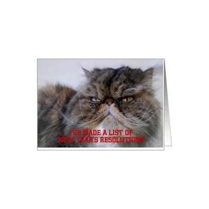  New Years Resolution Humor Calico Persian Cat Card 