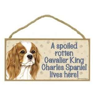  A Spoiled Rotten Cavalier King Charles Spaniel Lives Here 