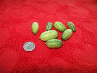 watermelon, MINI, mexican sour gherkin, 10 seeds GroCo  